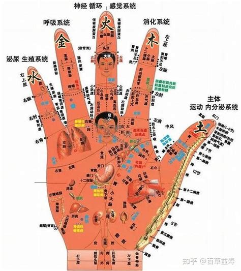 手指代表的器官|看五指，知五脏，手指对应人体各个系统，赶快对照看看自己的手。